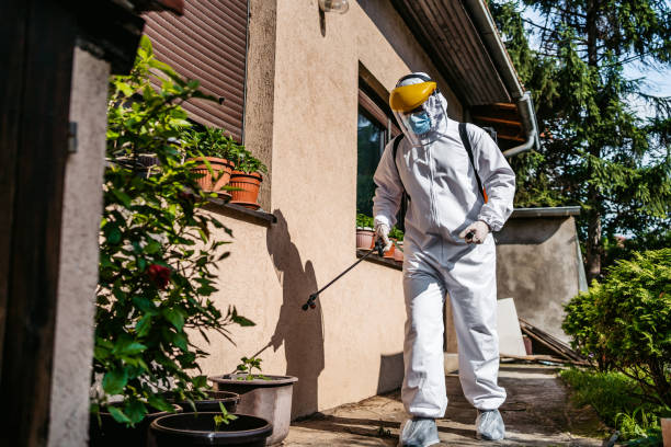 Best Wasp Removal Services  in Espy, PA