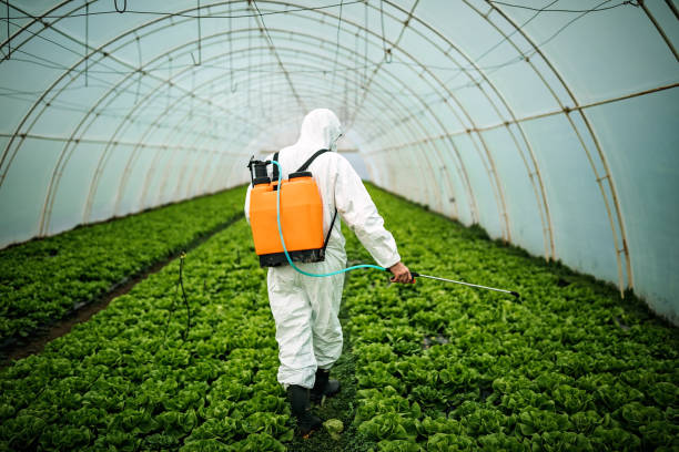 Best Pest Prevention Services  in Espy, PA