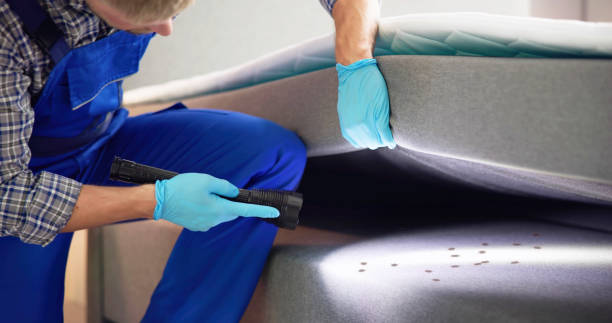 Best Emergency Pest Control  in Espy, PA
