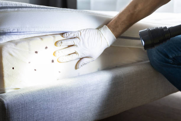 Best Mosquito Control Services  in Espy, PA