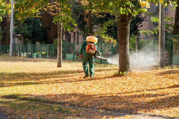 Flea Control Services in Espy, PA