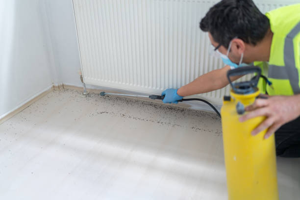 Best Pest Removal Services  in Espy, PA