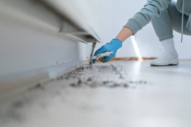 Professional Pest Control in Espy, PA